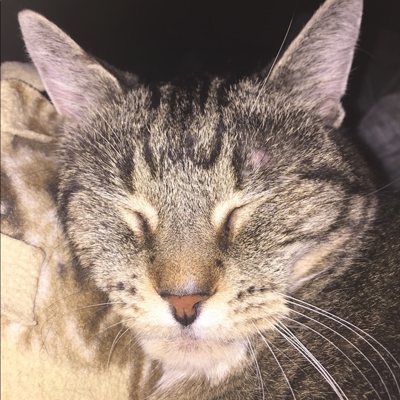 Meet your Posher, Krista - Picture 1 of 2